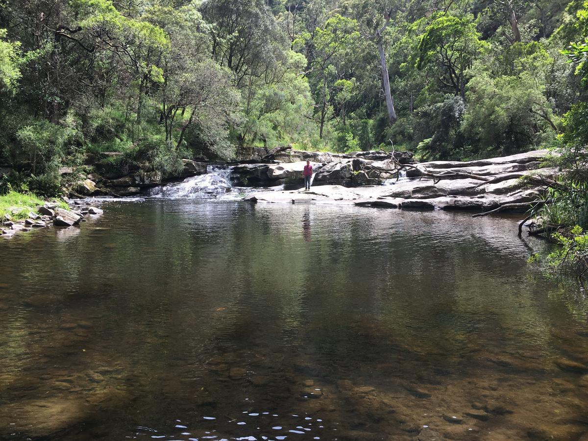 Cumberland River Holiday Park Lorne Extérieur photo